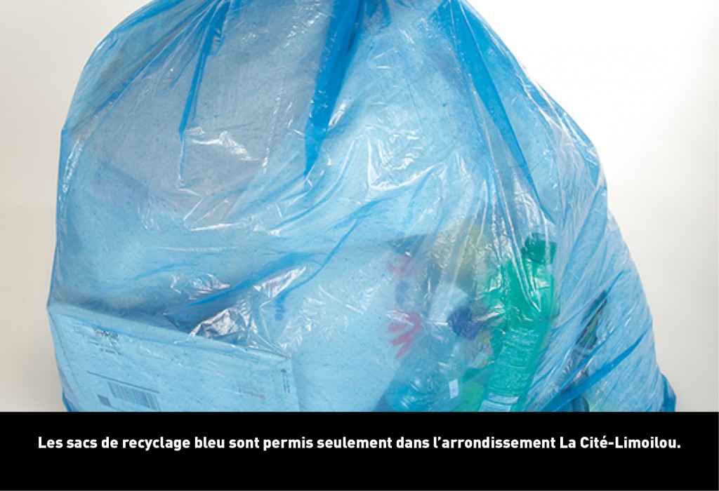 sacs de recyclage bleus