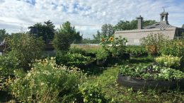 Un aperçu du jardin de la bibliothèque Paul-Aimé-Paiement