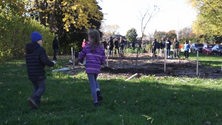 Des enfants sur un terrain