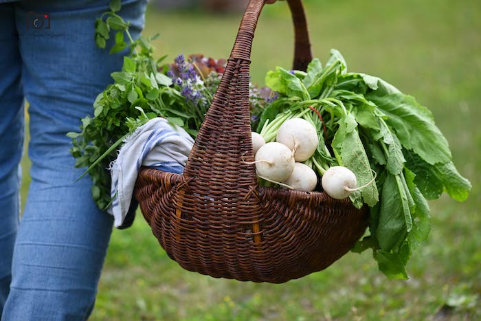 Les paniers de légumes de Craque-Bitume