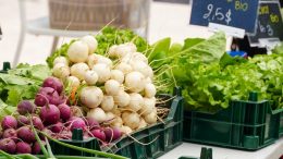 Le P'tit marché SJB débute le 10 juin. Crédit photo : SDC Faubourg Saint-Jean