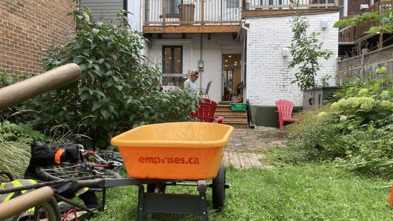 Emprises - Espaces urbains a atteint son objectif de 100 arbres plantés en 2023, dans le quartier Limoilou. (Crédit photo : Mathieu Caron - Emprises)