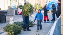 Parmi les activités de Myrand Scintille, les visiteurs pourront pratiquer le lancer de sapin ce samedi 25 novembre. (Crédit photo : Agence 714)