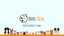 pattes calins