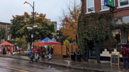 Parmi les actions menées par Concertation Saint-Sauveur, la Fête d'Halloween 2023 rassemblait le chantier culture de la table de quartier et plusieurs organismes de Saint-Roch et Saint-Sauveur. (Crédit photo : Courtoisie)