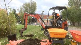 L'organisme Emprises - espaces urbains agit pour le verdissement en basse-ville, notamment à Limoilou. (Crédit photo : Mathieu Caron, Emprises - espaces urbains)