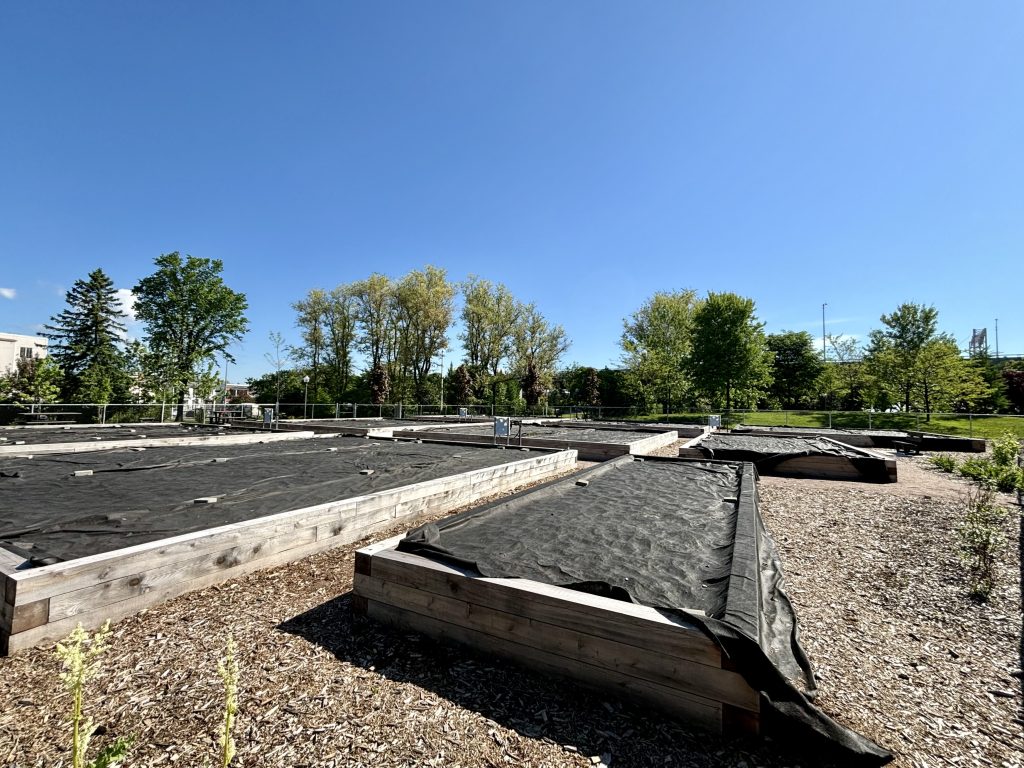 Les bacs sont tout installés. Le terrain est clôturé, et il n'y a aucune information quant à l'ouverture du jardin. 