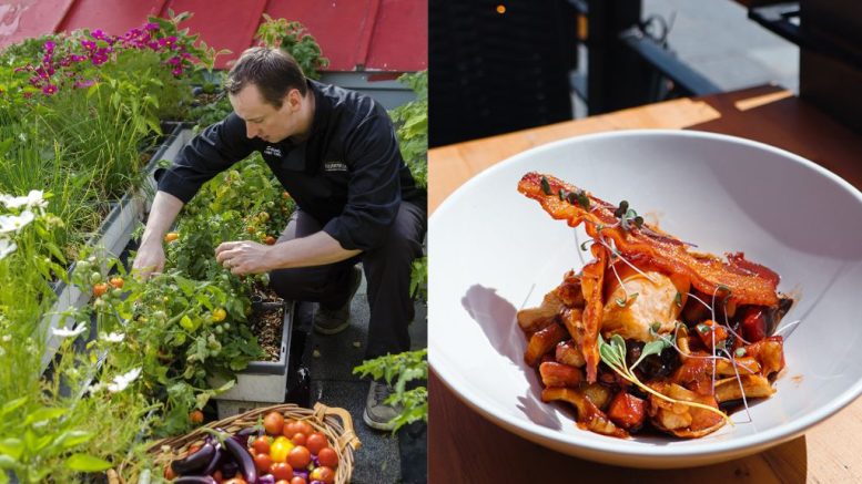 À gauche, Stéphane Roth, chef du restaurant Bistro Hortus, cultivant les légumes sur le toit du restaurant. À droite, Le plat sans gluten "En Meurette" du Bistro Hortus. (Crédit photo : Bistro Hortus)